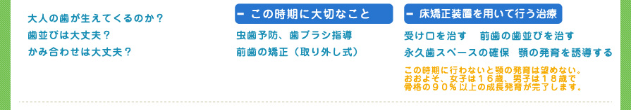 大人の歯が生えてくるのか？
歯並びは大丈夫？
かみ合わせは大丈夫？